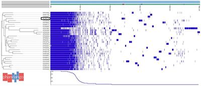 The mobile gene cassette carrying tetracycline resistance genes in Aeromonas veronii strain Ah5S-24 isolated from catfish pond sediments shows similarity with a cassette found in other environmental and foodborne bacteria